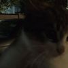 bibicha.nina6