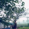 tatyl_123