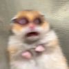 seokhyoshin