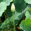 dinh.luong23