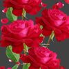 mg.kyaw913