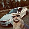 elias.eslam