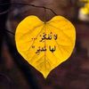 amna.ahmed48