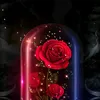 doaaelkarawan38