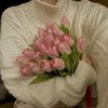 bent_aboha4467