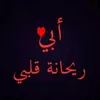 user9523460048461