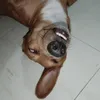 walawalaaaaa