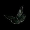 zainab72174