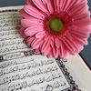 aya.said072