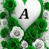 flower_00880