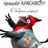 nadezda_volkova223