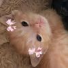 sofia_thefirst68