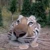 jhudith675