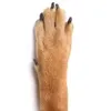 traan.xufuuuu