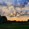 ali_fayazi24