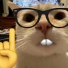 user8001618411506
