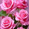 hamdo8457