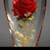 user8706191660070