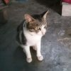 cienduttt0312