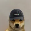 raycoplayz
