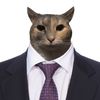 cat_givestips