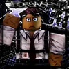 shedletsky_elxd