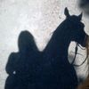 leei__na31