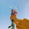 rose_flouer