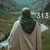 .313amera