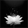 user7474865100973