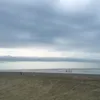 dip.anh26
