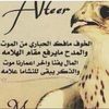 user2654784860188