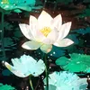 babyloveemperor