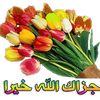 ammmon42