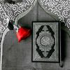 user6192568612006