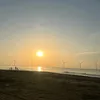 cavoi_225209
