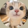 thwe.thwe.aungv
