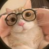 yumi_is_notyours
