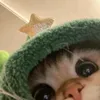 da_nice14