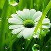 user6203341181803