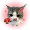 urgirl_marie8