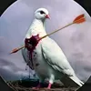fyjfhk5