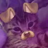 lena_1637x
