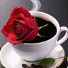 mohamed.98428936