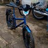 osep.173