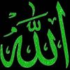 user4285210793332