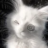 vxiolet_zx