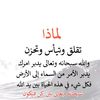user8577660679703
