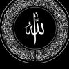 user1776856322128