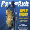 Pescasub&apnea